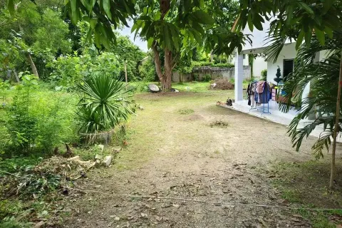 Studio in Phuket, Thailand № 161281 - photo 2