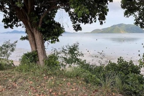 Земельный участок в Пхукете, Таиланд 24000м2  № 145456 - фото 6