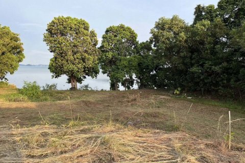 Земельный участок в Пхукете, Таиланд 24000м2  № 145456 - фото 7
