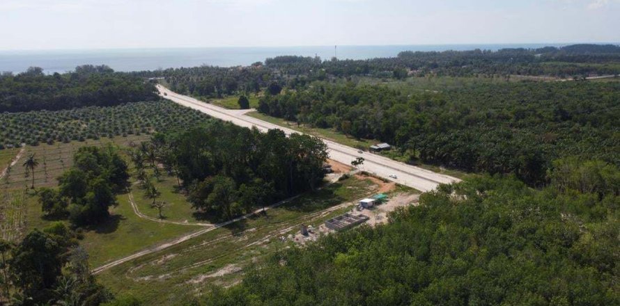 Земельный участок в Пхангнге, Таиланд 3765.2м2 № 154126