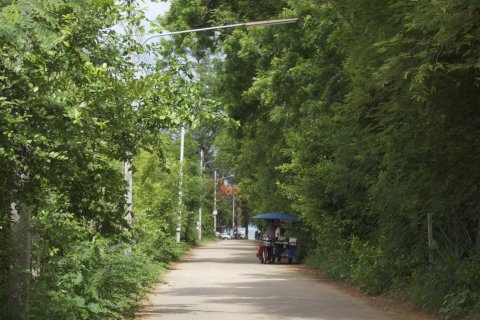 House in Hua Hin, Thailand 3 bedrooms № 155243 - photo 15