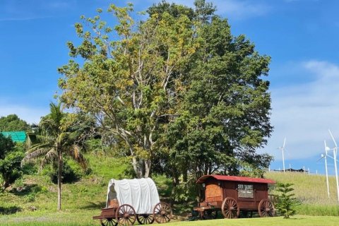 Land in Saraburi, Thailand 1416 sq.m. № 145049 - photo 14