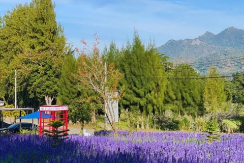 Land in Saraburi, Thailand 1416 sq.m. № 145049 - photo 15