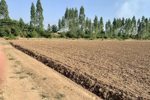 Land in Tha Muang, Thailand 41600 sq.m. № 159554 - photo 6