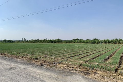 Land in Tha Muang, Thailand 41600 sq.m. № 159554 - photo 3