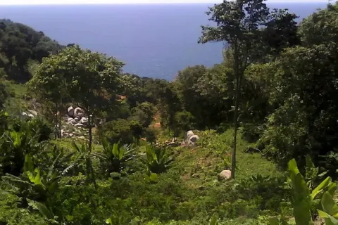 Land in Phuket, Thailand 52800 sq.m. № 155253 - photo 5