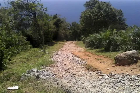 Land in Phuket, Thailand 52800 sq.m. № 155253 - photo 14