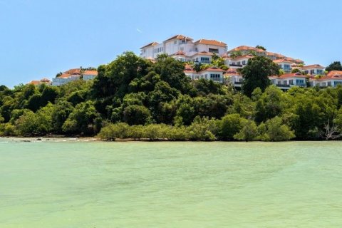 Land in Phuket, Thailand 52800 sq.m. № 155253 - photo 11