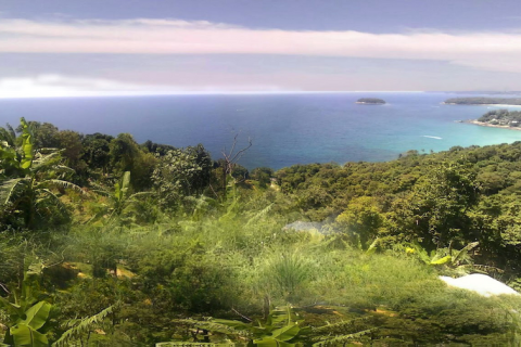 Land in Phuket, Thailand 52800 sq.m. № 155253 - photo 1