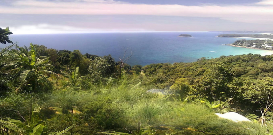 Land in Phuket, Thailand 52800 sq.m. № 155253