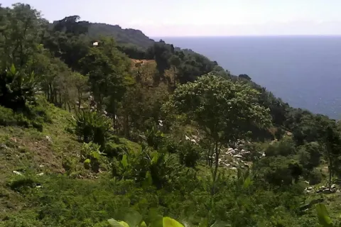 Land in Phuket, Thailand 52800 sq.m. № 155253 - photo 2