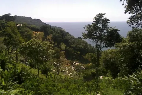 Land in Phuket, Thailand 52800 sq.m. № 155253 - photo 4