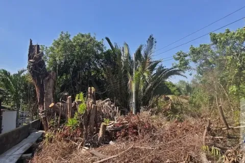 Land in Phra Pradaeng, Thailand № 217149