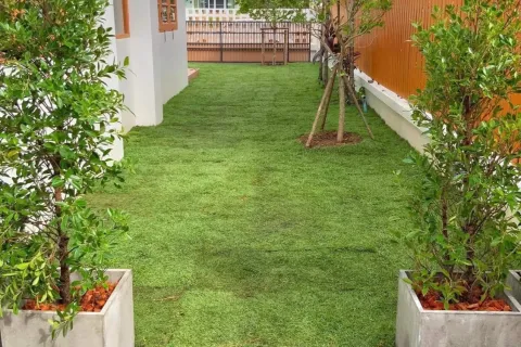 Maison à San Sai, Thaïlande 3 chambres № 158222 - photo 13