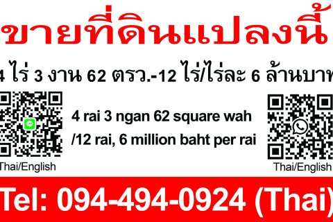 Земельный участок в Районге, Таиланд 6400м2  № 151611 - фото 6