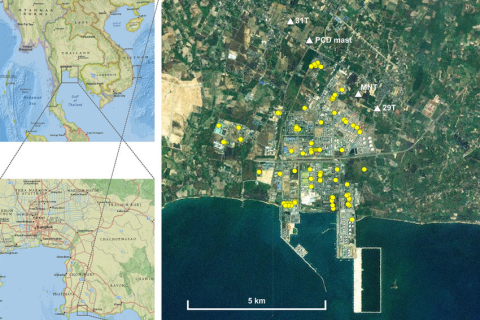 Земельный участок в Районге, Таиланд 6400м2  № 151611 - фото 7