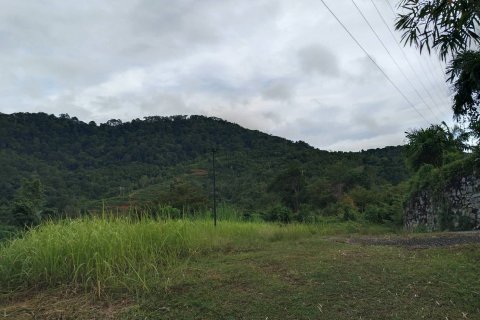 Земельный участок в Пхукете, Таиланд 1250м2  № 151612 - фото 15