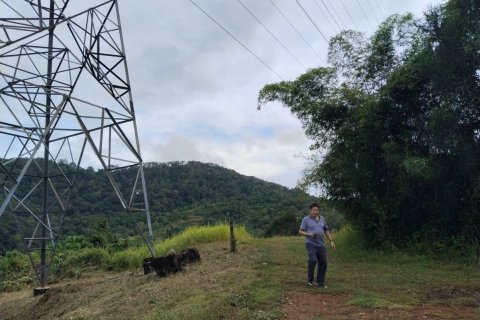 Земельный участок в Пхукете, Таиланд 1250м2  № 151612 - фото 14