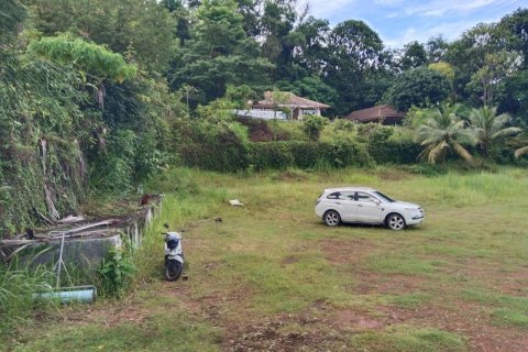 Земельный участок в Пхукете, Таиланд 1250м2  № 151612 - фото 7