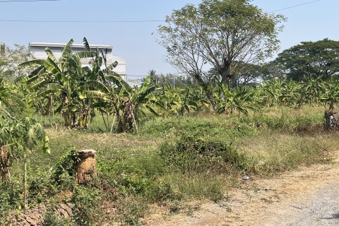 Земельный участок в Накхон Луанге, Таиланд 23552м2  № 151609 - фото 11