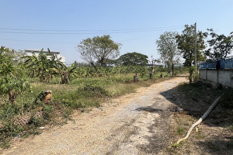 Земельный участок в Накхон Луанге, Таиланд 23552м2  № 151609 - фото 10