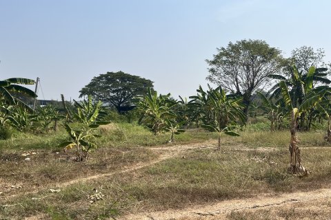 Земельный участок в Накхон Луанге, Таиланд 23552м2  № 151609 - фото 5