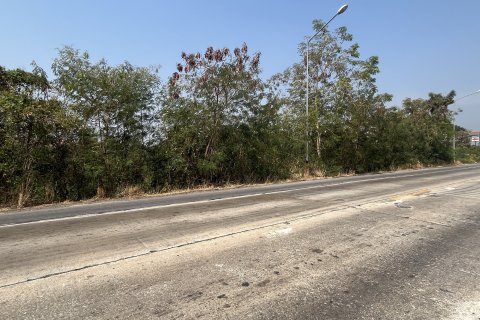 Земельный участок в Накхон Луанге, Таиланд 23552м2  № 151609 - фото 1