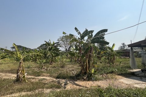 Земельный участок в Накхон Луанге, Таиланд 23552м2  № 151609 - фото 8