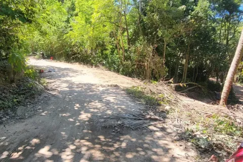 Land in Ko Tao, Thailand 68800 sq.m. № 170954 - photo 4