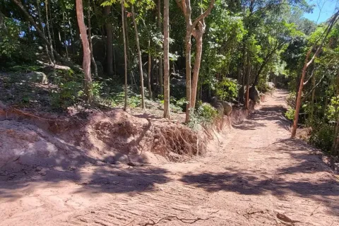 Land in Ko Tao, Thailand 68800 sq.m. № 170954 - photo 2