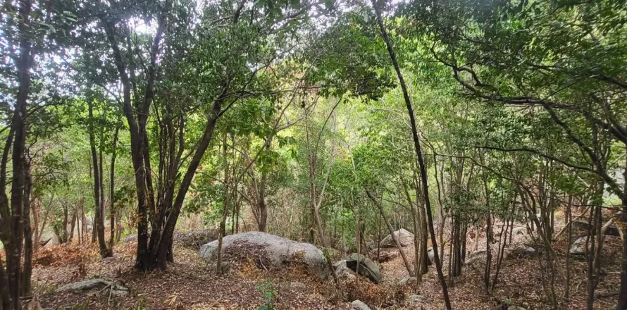 Land in Ko Tao, Thailand 68800 sq.m. № 170954
