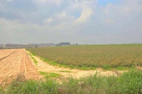 Земельный участок в Районге, Таиланд 46400м2  № 153574 - фото 6