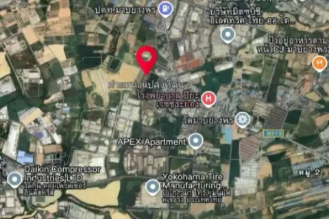 Земельный участок в Районге, Таиланд 46400м2  № 153574 - фото 9