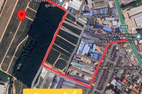 Земельный участок в Районге, Таиланд 46400м2  № 153574 - фото 8