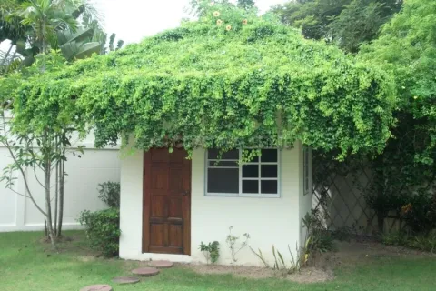 Casa de 4 dormitorios en Pattaya, Tailandia № 212624 - foto 12