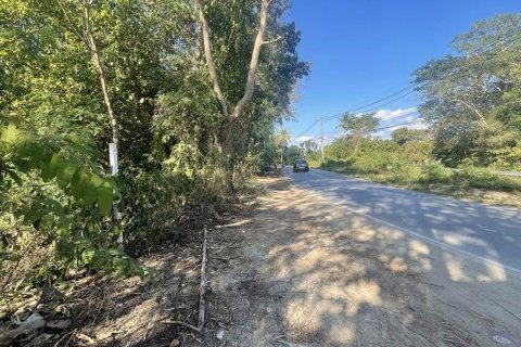 Земельный участок в Мае Риме, Таиланд 19000м2 № 164646 - фото 7