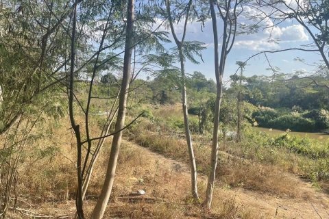 Земельный участок в Мае Риме, Таиланд 19000м2 № 164646 - фото 4