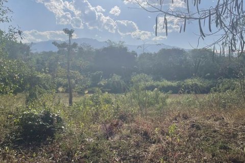 Земельный участок в Мае Риме, Таиланд 19000м2 № 164646 - фото 5