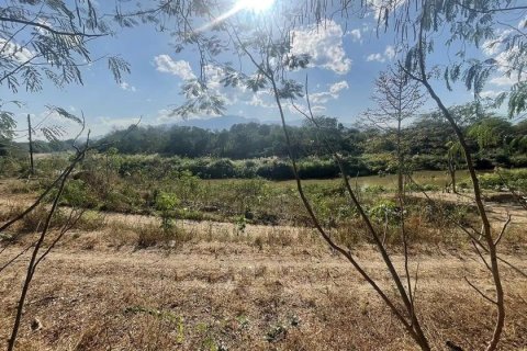 Земельный участок в Мае Риме, Таиланд 19000м2 № 164646 - фото 2