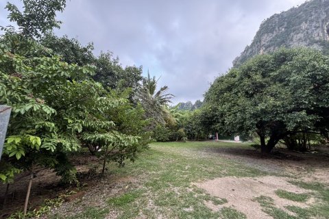 Земельный участок в Ча-аме, Таиланд 4279.2м2  № 139913 - фото 17