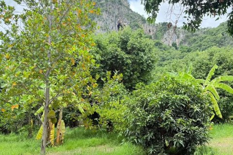 Land in Cha-am, Thailand 4279.2 sq.m. № 139913 - photo 6