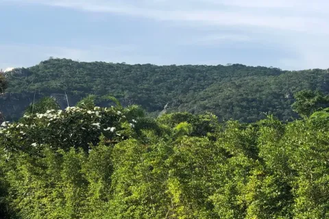 Terrain à Hua Hin, Thaïlande 830 m2 № 164643