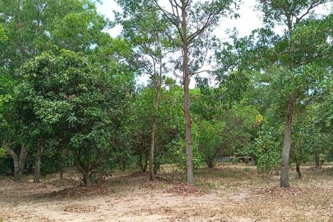 Terrain à Pattaya, Thaïlande 6400 m2 № 171054 - photo 9