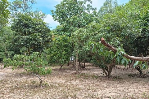 Terrain à Pattaya, Thaïlande 6400 m2 № 171054 - photo 3