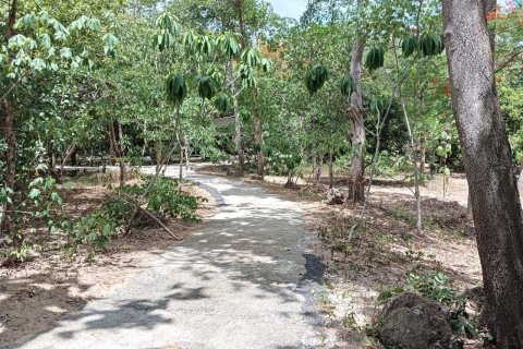 Terrain à Pattaya, Thaïlande 6400 m2 № 171054 - photo 2