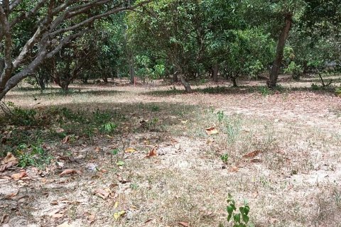 Terrain à Pattaya, Thaïlande 6400 m2 № 171054 - photo 7