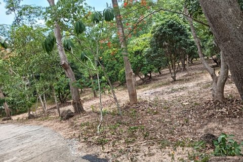 Terrain à Pattaya, Thaïlande 6400 m2 № 171054 - photo 6