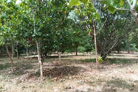 Terrain à Pattaya, Thaïlande 6400 m2 № 171054 - photo 8