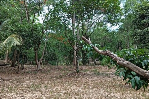 Terrain à Pattaya, Thaïlande 6400 m2 № 171054 - photo 12