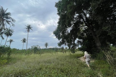 Земельный участок в Паттайе, Таиланд 43200м2  № 147677 - фото 7